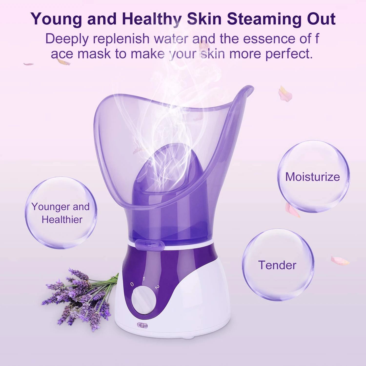 Nano Facial Steamer Portable Spa Facial Teratment