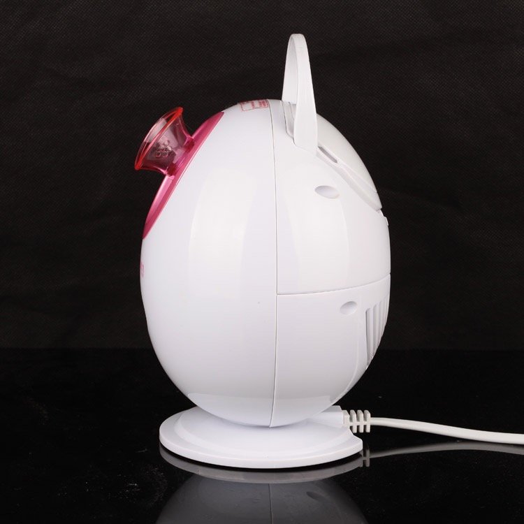 50ML Electric nano Mini Face Steamer Facial steamer