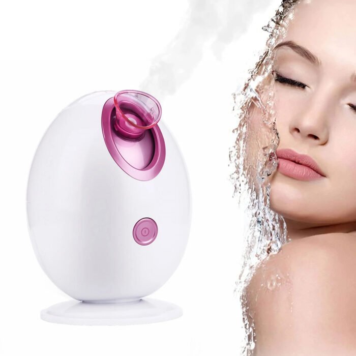 50ML Electric nano Mini Face Steamer Facial steamer （2)