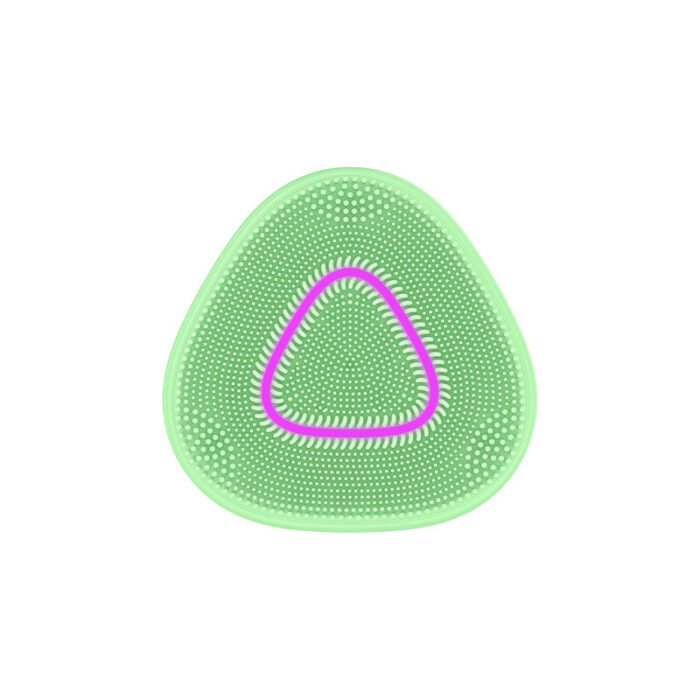 Silicone Waterproof USB Rechargeable EMS Phototherapy Cleansing Massager Heating Vibration Pore Cleaning Face Care Silicone Beauty Cleansing Brush