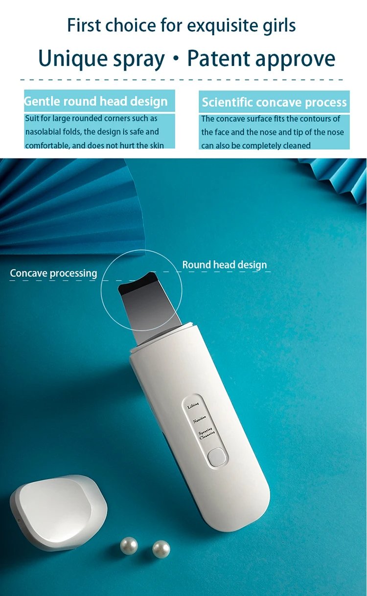 Beauty Equipment Stainless Steel Ultrasonic Mist Sprayer Skin Scrubber Face Skin Spatula Blackhead Remover