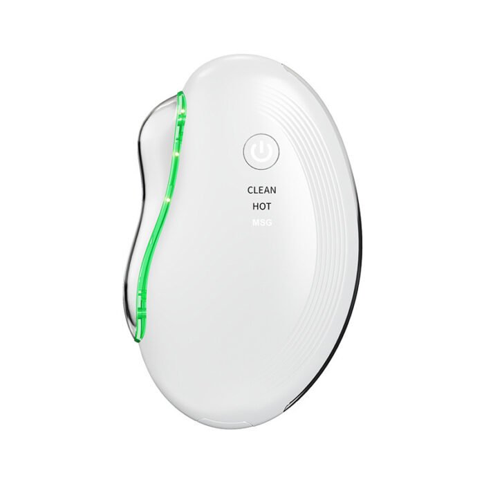 Home Use Electric Face and Neck Lifting and Firming Massager EMS Vibration Heating Beauty Device Face Care LED Light Guasha Tool