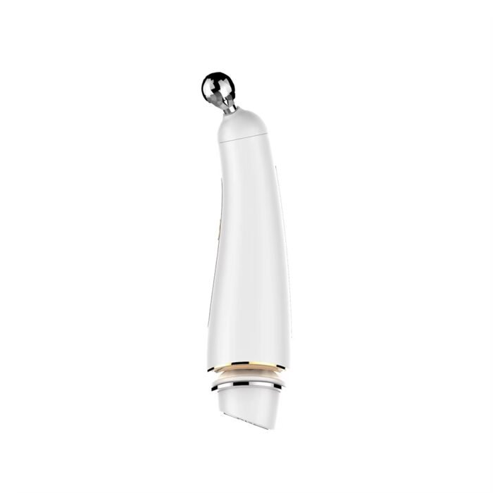 Luxury Microcurrent Radio Frequency Skin Tightening Facial Toning Device Anti Wrinkle Red Light Therapy Device Home Use Beauty Equipment Facial Massager