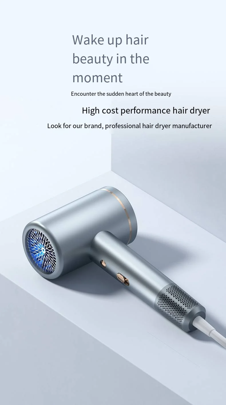 2400W Professional DC High Speed Constant Temperature Negative Ion Hair Dryers