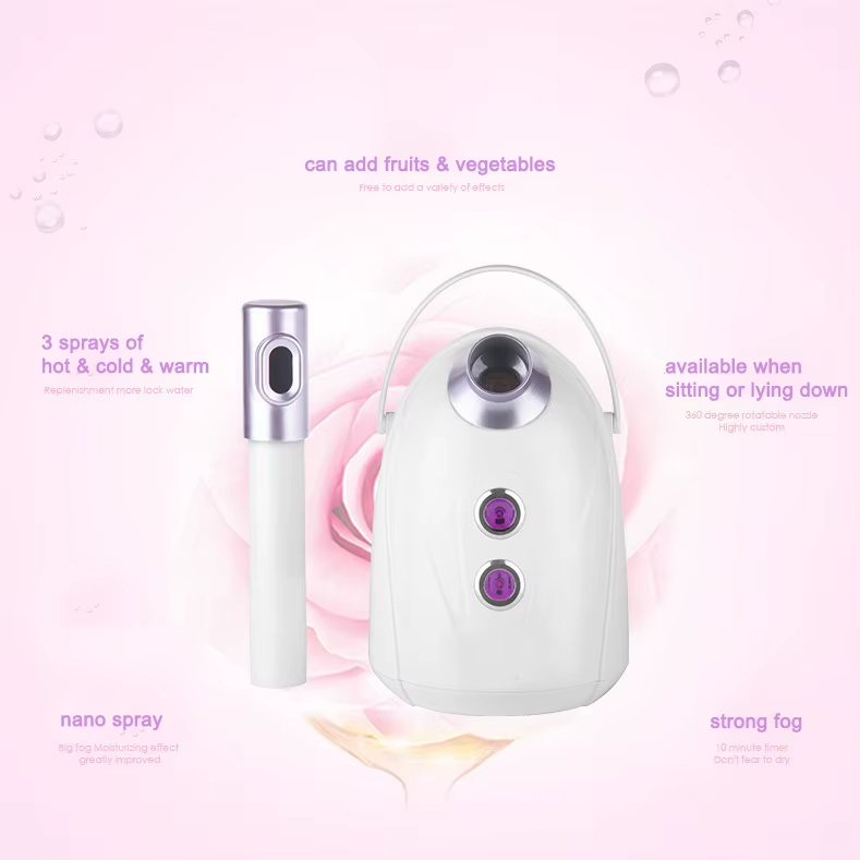 Desk Top Hot Mist Facial Steamer Personal Care Beauty Device Spa Equipment