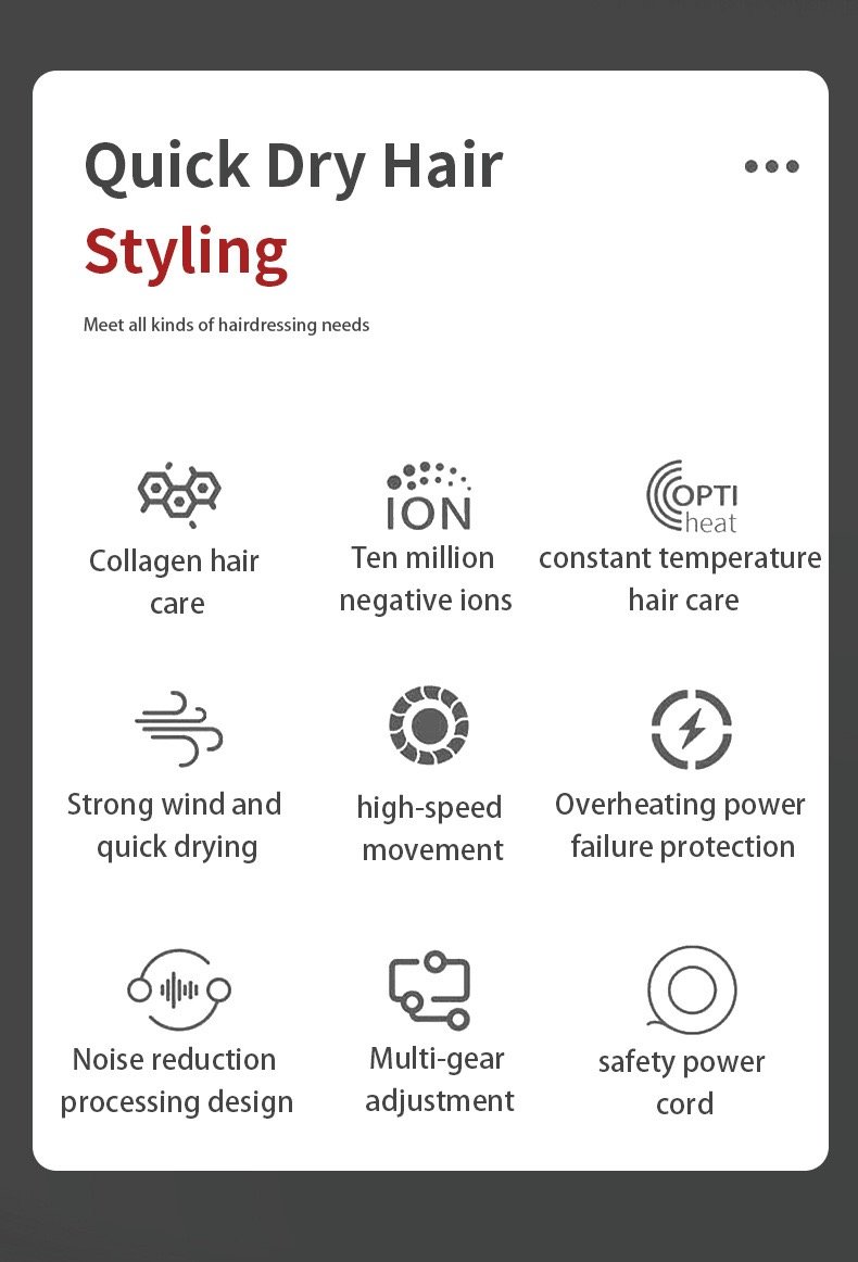 Hair Dryer 2500W Strong Power with Ionic High Speed Hair Protection