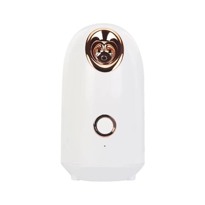 Personal Face Humidifier Home Cold Electric Ionic Sprayer Steamer Facial Spa
