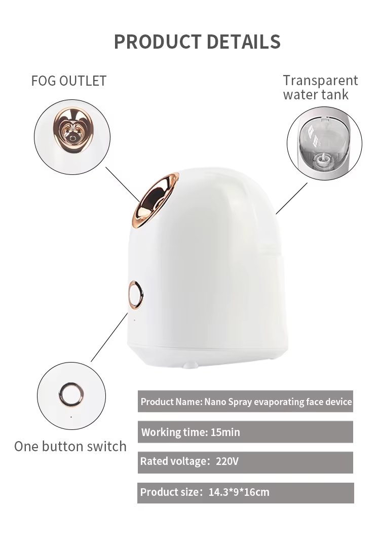 Personal Face Humidifier Home Cold Electric Ionic Sprayer Steamer Facial Spa