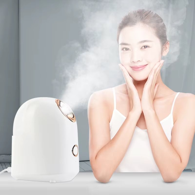 Personal Face Humidifier Home Cold Electric Ionic Sprayer Steamer Facial Spa