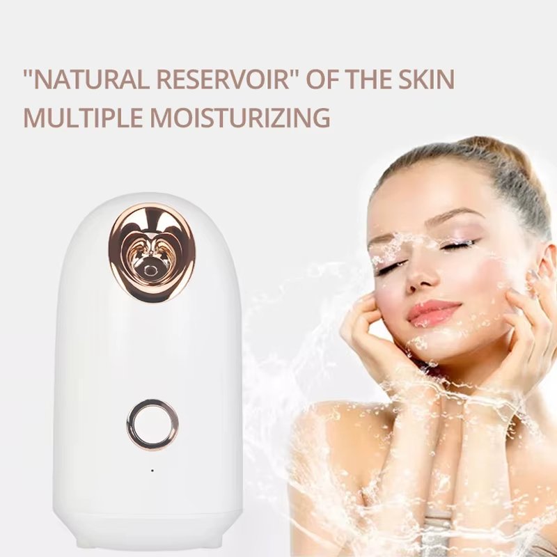 Personal Face Humidifier Home Cold Electric Ionic Sprayer Steamer Facial Spa
