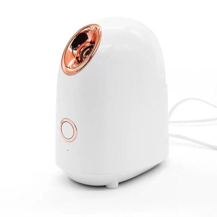 Personal Face Humidifier Home Cold Electric Ionic Sprayer Steamer Facial Spa