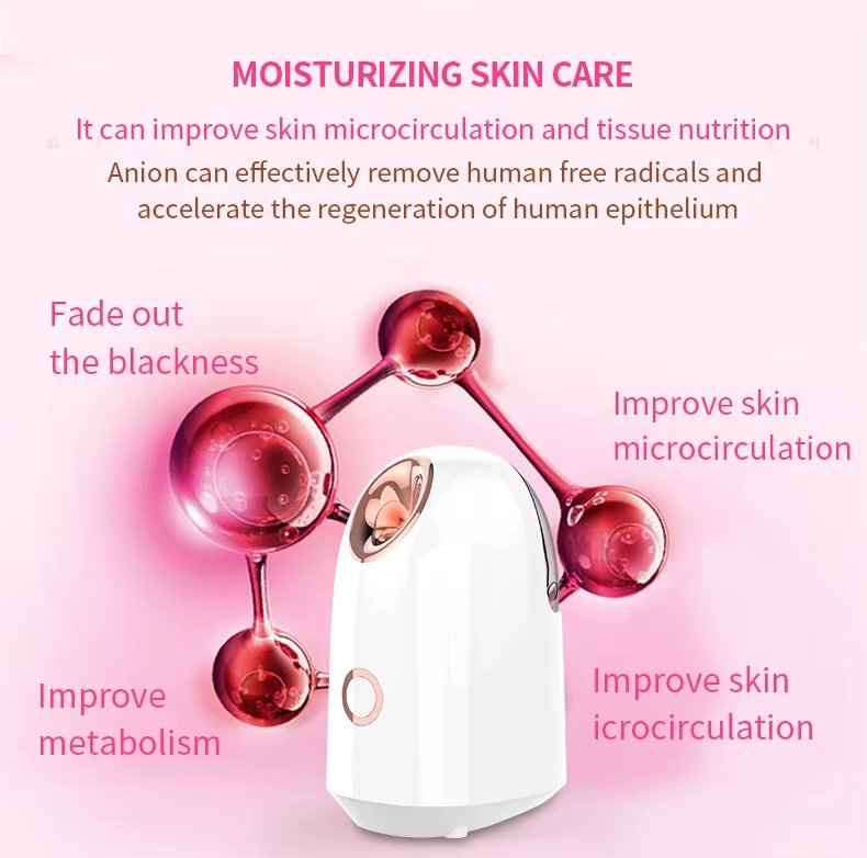 Personal Face Humidifier Home Cold Electric Ionic Sprayer Steamer Facial Spa