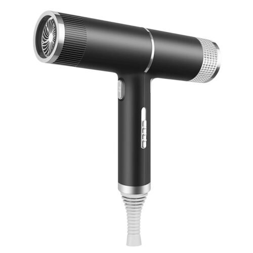 700W Salon Ionic Super Wind Quiet Blow Electric Dryer Hair Dryer