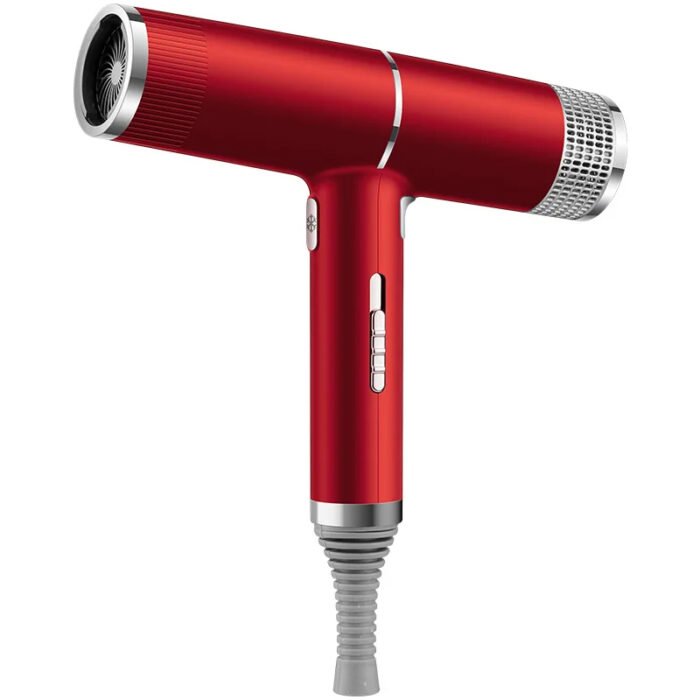 700W Salon Ionic Super Wind Quiet Blow Electric Dryer Hair Dryer
