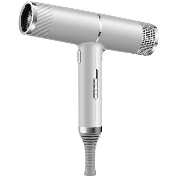 700W Salon Ionic Super Wind Quiet Blow Electric Dryer Hair Dryer