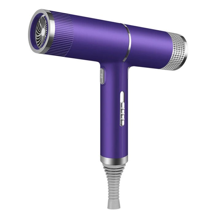 700W Salon Ionic Super Wind Quiet Blow Electric Dryer Hair Dryer