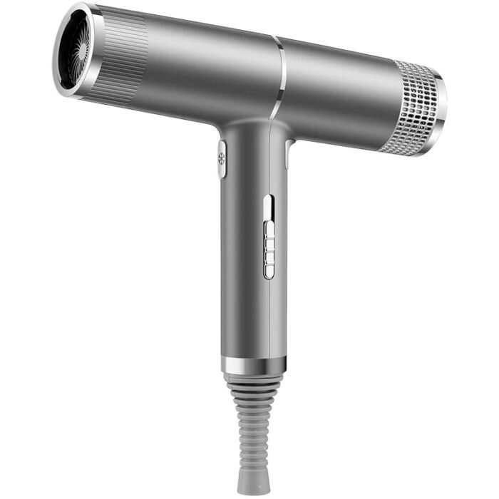 700W Salon Ionic Super Wind Quiet Blow Electric Dryer Hair Dryer