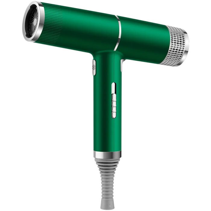 700W Salon Ionic Super Wind Quiet Blow Electric Dryer Hair Dryer