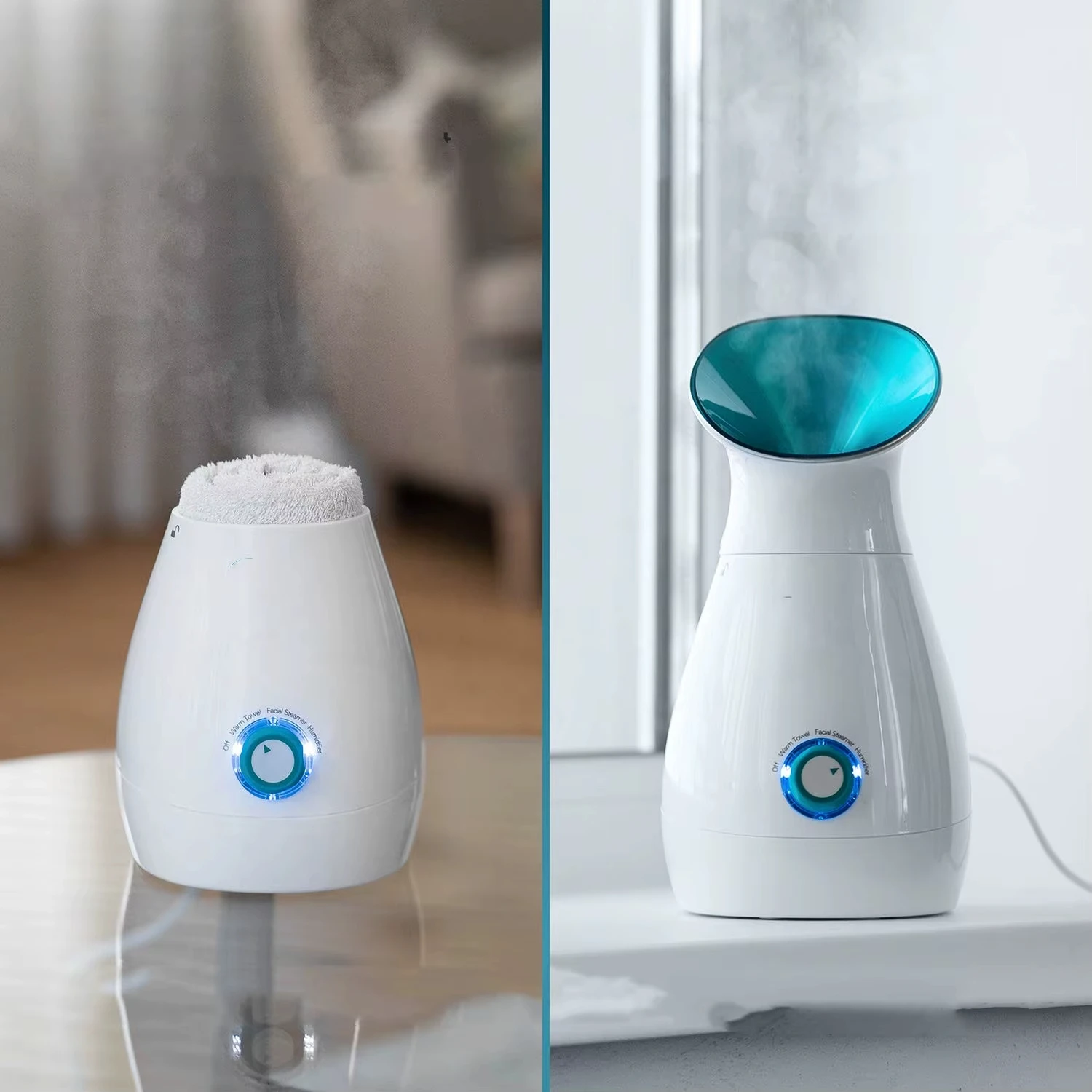 Facial Sauna Steamer Supplier