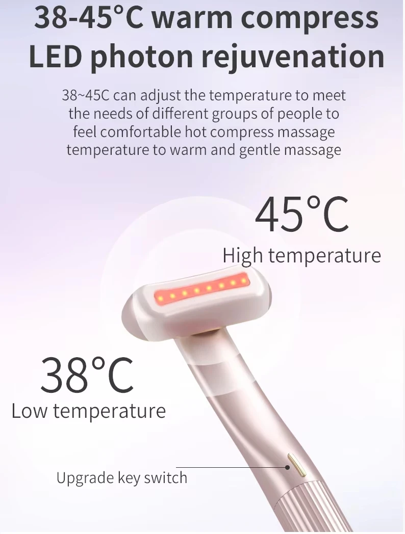 Wholesale Heat Vibration Led Facial Wand Custom